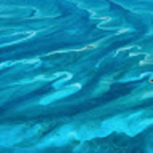 Meet your Posher, Madeleine